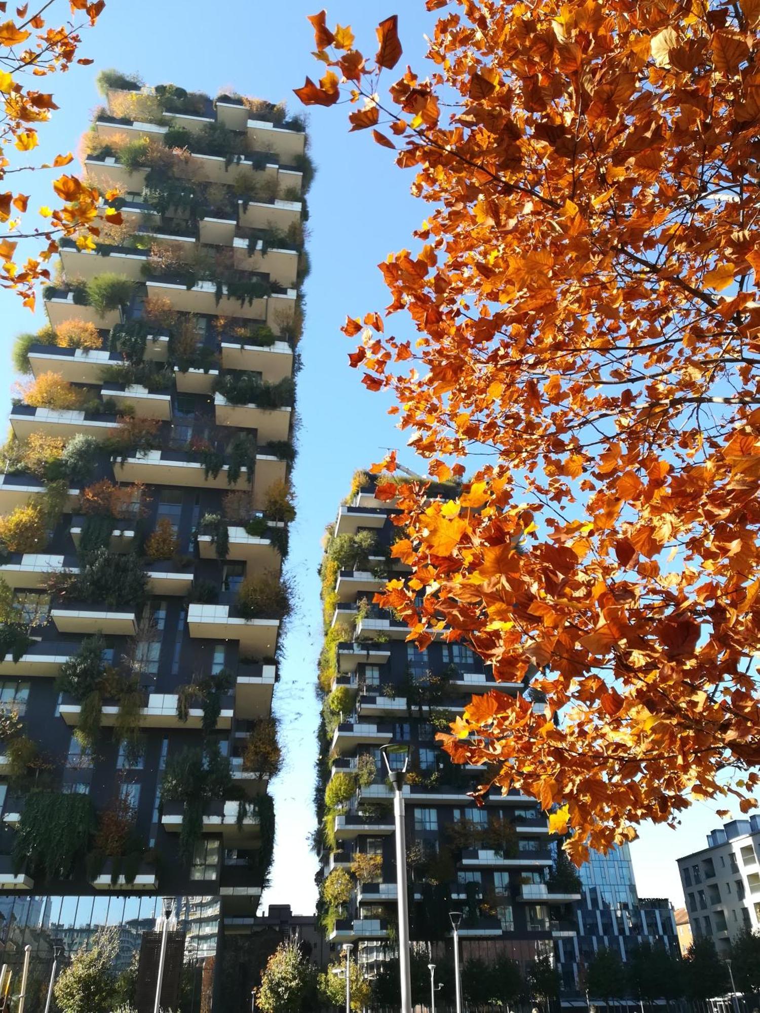 Appartement Ourjoy Condo, Free Parking, Ac, Wifi - M Gioia47, Station, Porta Nuova,