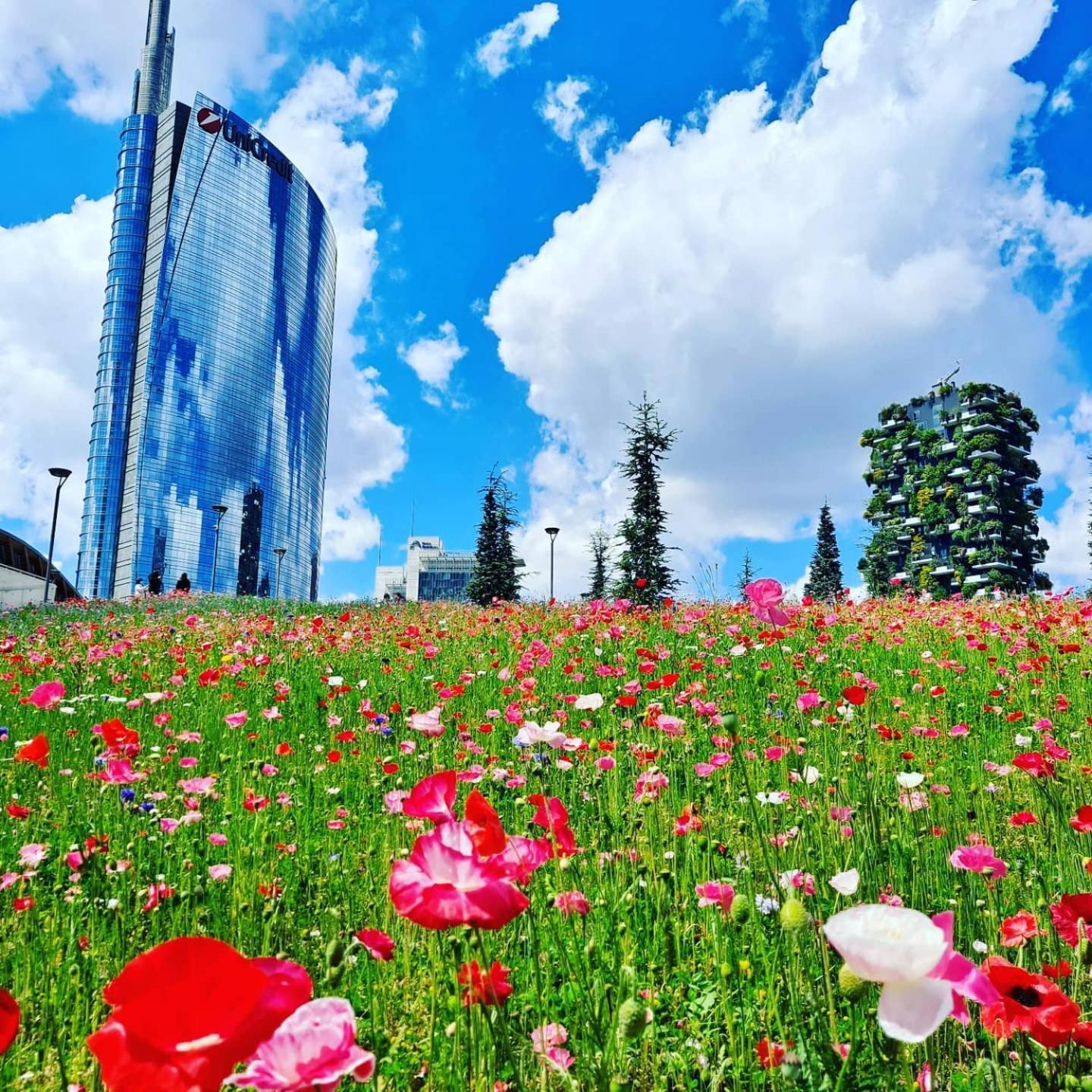 Appartement Ourjoy Condo, Free Parking, Ac, Wifi - M Gioia47, Station, Porta Nuova, *